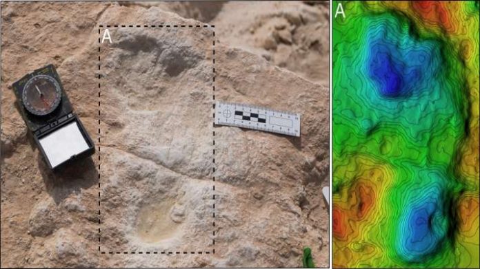 human footprints discovered in Saudi Arabia