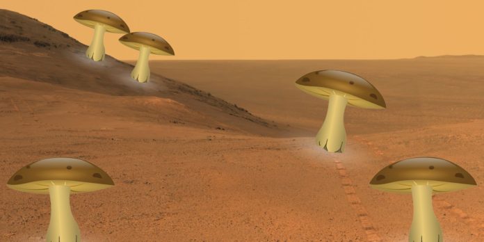 Life on Mars - Fungus- Mashroom on Mars